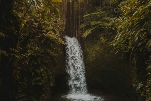 Ubud: privétour met Gunung Kawi-tempel en waterval