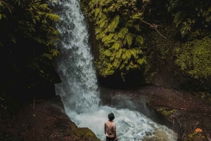 Ubud: privétour met Gunung Kawi-tempel en waterval