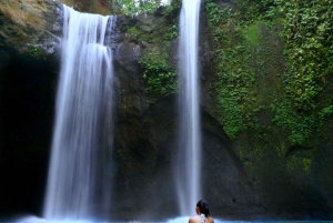 Ubud: Private Waterfall Tour with Lunch and Transfers