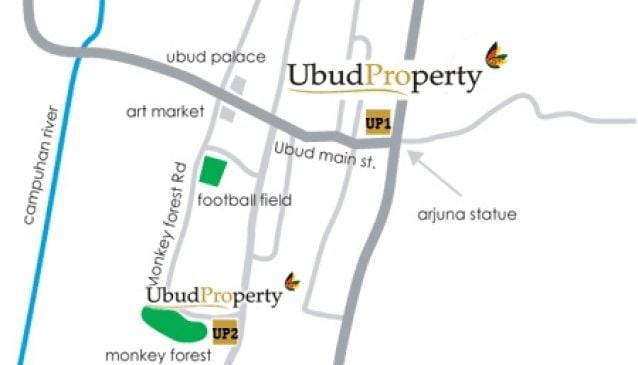 Ubud Property