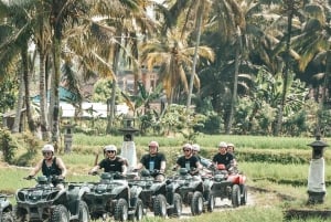 ubud : aventura em quadriciclo