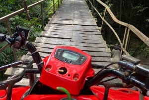 Ubud: Vattenfall och grottor i Barong med fyrhjuling