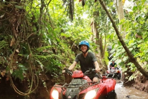 UBUD: Quadbike adventure with waterfalls and photography