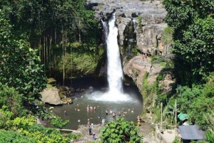 UBUD: Quadbike adventure with waterfalls and photography