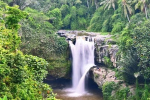 UBUD: Quadbike adventure with waterfalls and photography