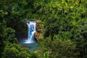 UBUD: Quadbike adventure with waterfalls and photography