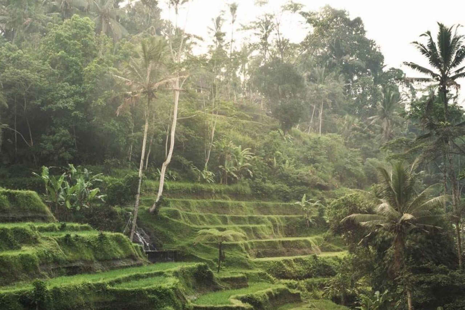 Ruhige morgendliche Tour in Ubud: Tibumana, Taman Sari & Reisterrasse
