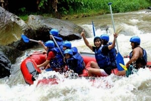 Ubud Rafting avec transfert à l'hôtel et déjeuner