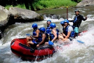 Ubud Rafting with Hotel Transfers and Lunch