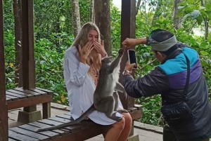Ubud Rafting with Monkey Forest included Lunch and Transfer