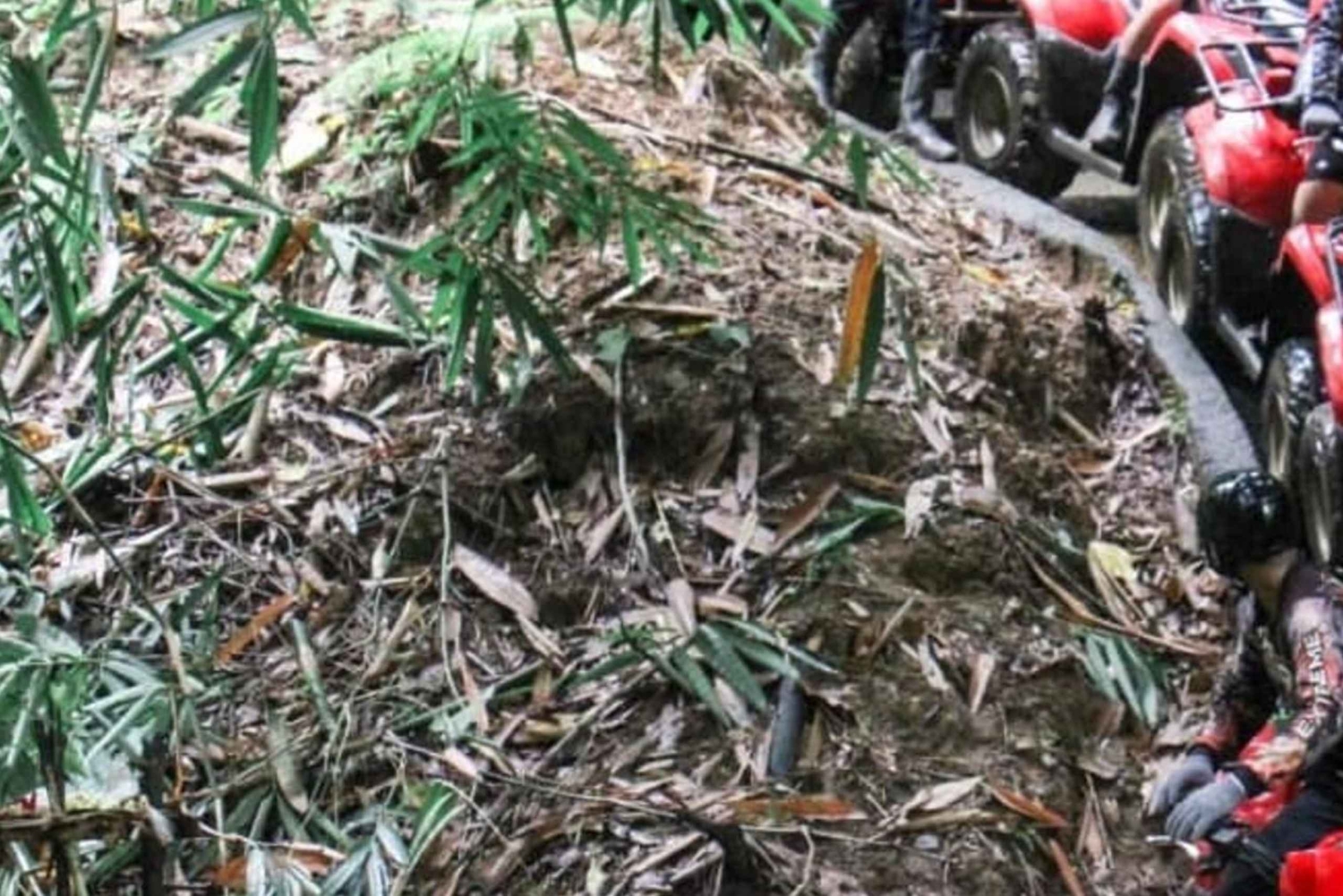 Ubud: tour in quad nella giungla nascosta