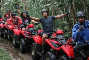 Ubud: tour in quad nella giungla nascosta