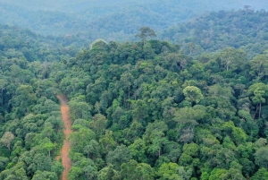 Ubud: tour in quad nella giungla nascosta