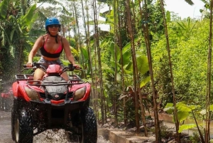 Ubud: tour in quad nella giungla nascosta