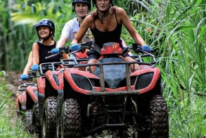 Ubud: tour in quad nella giungla nascosta