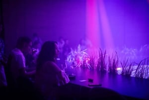 Ubud: wyrafinowana balijska kuchnia: 11-daniowa kolacja w teatrze