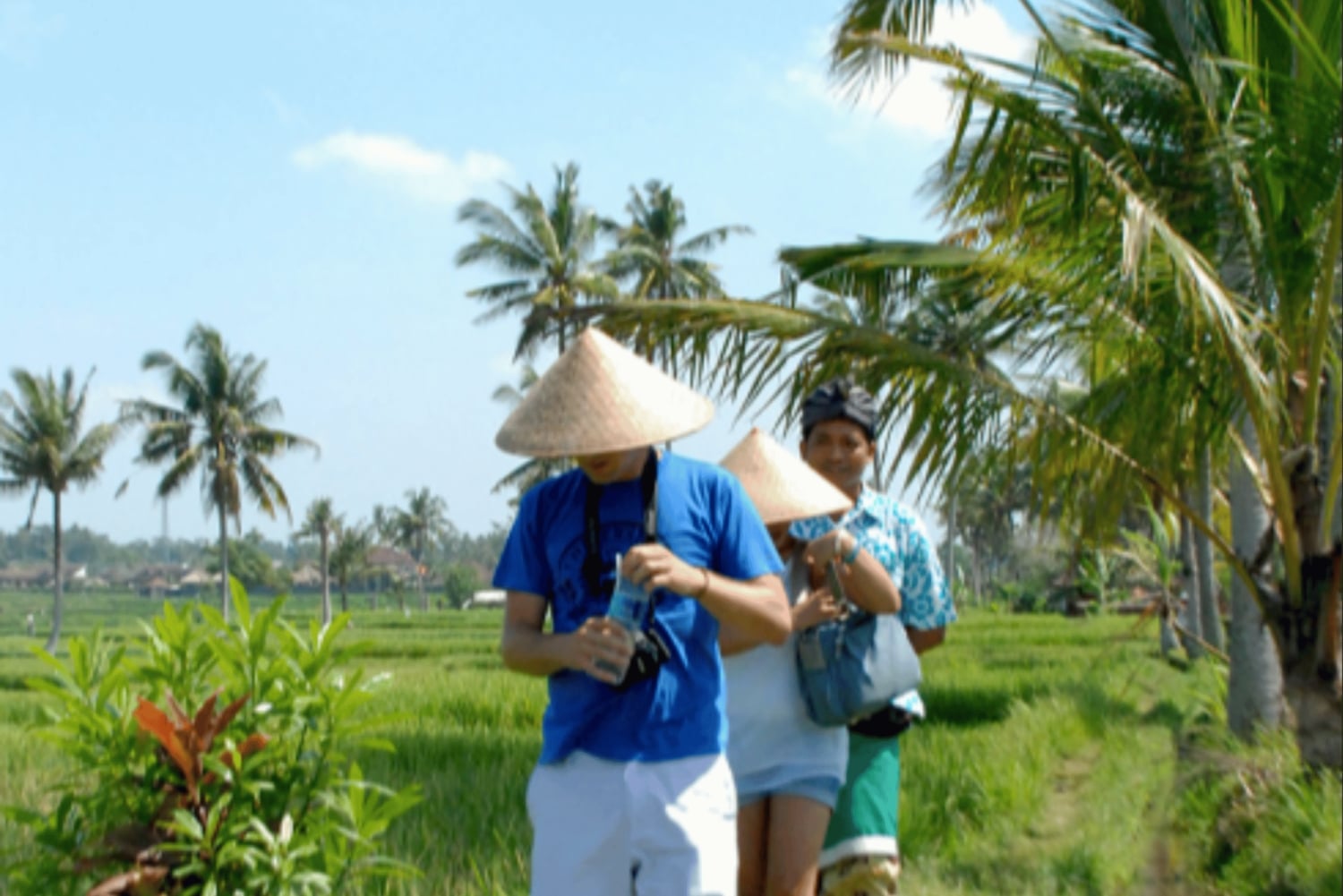Ubud: Rice Field Trekking Tour with Guide and Drink