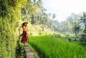 Ubud: Rice Fields Photoshoot with optional Video Reel