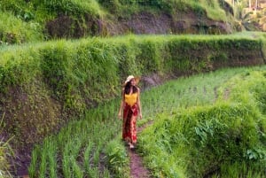 Ubud: Rice Fields Photoshoot with optional Video Reel