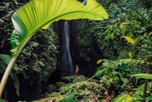 Ubud: Rice Planting, Coconut Oil Class and Waterfall
