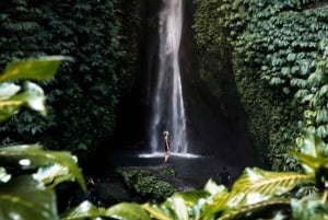 Ubud: Rice Planting, Coconut Oil Class and Waterfall