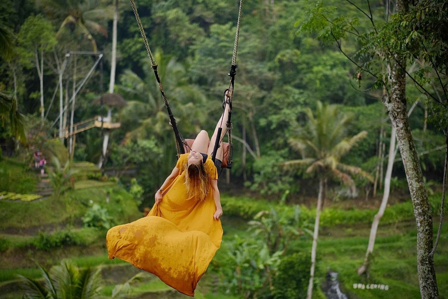 Ubud: Rice Terrace, Holy Water Temple & Waterfalls Trek Tour