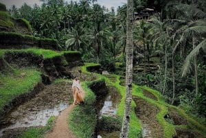 Ubud: Rice Terrace, Holy Water Temple & Waterfalls Trek Tour