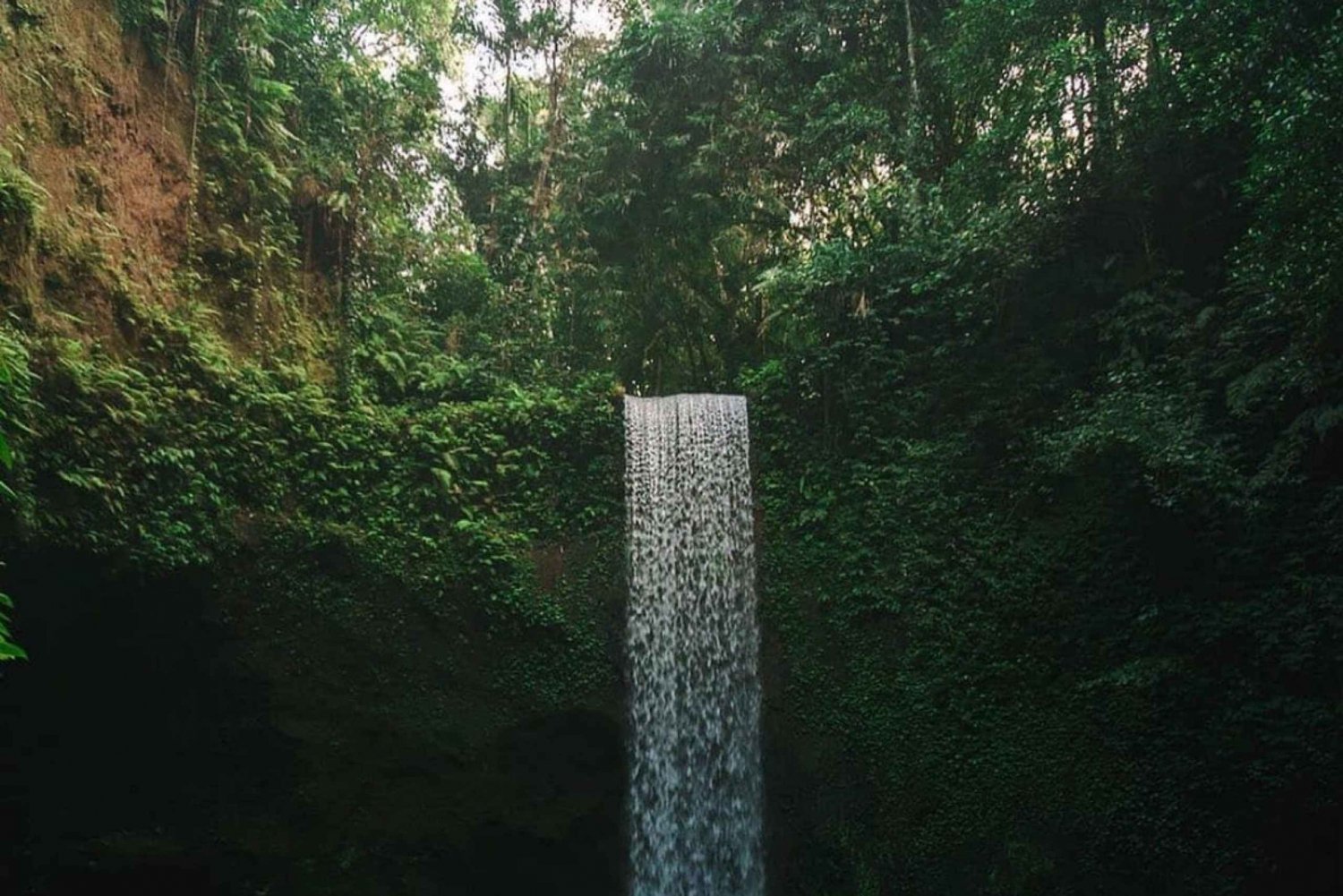 أوبود شرفة الأرز، غابة القرود، جولة خاصة في الشلال