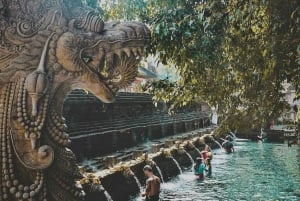Ubud : Rizière, forêt de singes et cascade visite privée
