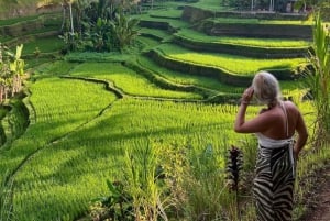 Ubud: Rice Terrace, Monkey Forest, & Waterfall Yksityinen kiertoajelu