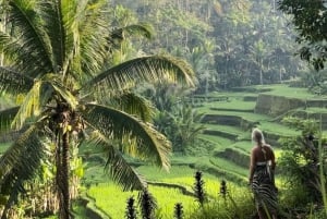 Ubud : Rizière, forêt de singes et cascade visite privée