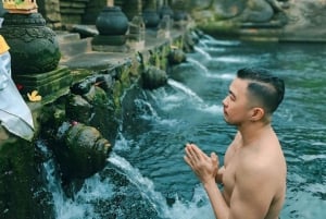 أوبود شرفة الأرز، غابة القرود، جولة خاصة في الشلال