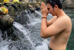 أوبود شرفة الأرز، غابة القرود، جولة خاصة في الشلال