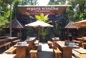 أوبود شرفة الأرز، غابة القرود، جولة خاصة في الشلال