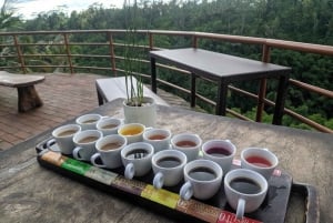 أوبود شرفة الأرز، غابة القرود، جولة خاصة في الشلال