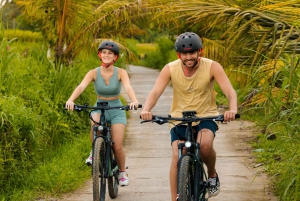 Ubud Rice Terrace & Villages E-Bike Tour by Alasan Adventure