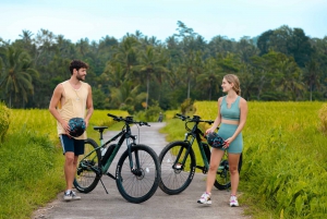 Ubud Rice Terrace & Villages E-Bike Tour by Alasan Adventure