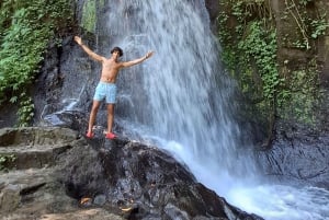 ウブド：水神殿、棚田、滝、プライベートツアー