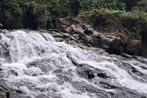 ウブド：水神殿、棚田、滝、プライベートツアー