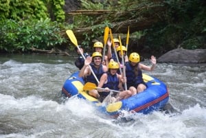 ウブド：水神殿、棚田、滝、プライベートツアー