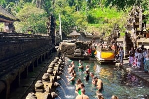 ウブド：水神殿、棚田、滝、プライベートツアー