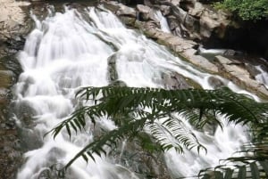 ウブド：水神殿、棚田、滝、プライベートツアー