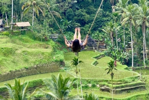 Ubud rice terrace, waterfall, and temple guided trip Bali