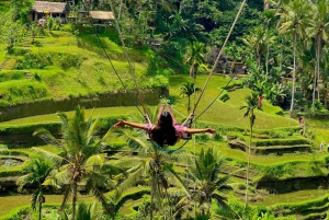 Ubud rice terrace, waterfall, and temple guided trip Bali
