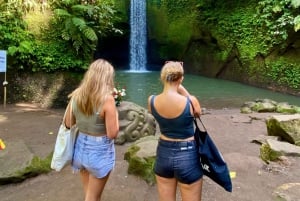 Ubud rice terrace, waterfall, and temple guided trip Bali