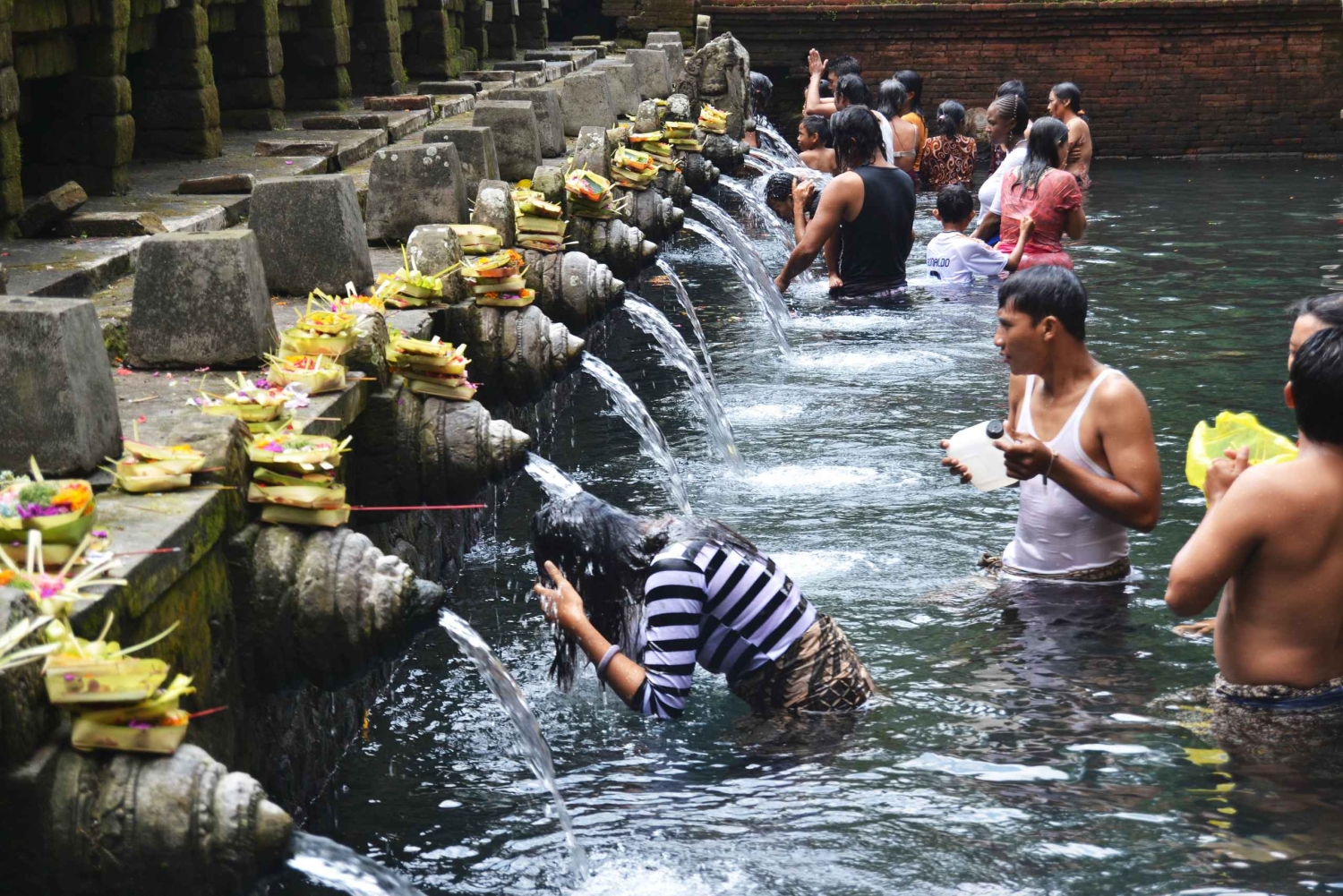 Ubud: terrazza di riso, cascata e grotta dell'elefante