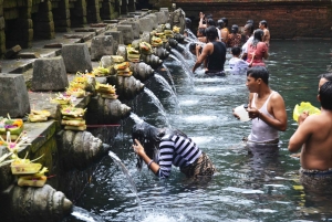 Ubud: terrazza di riso, cascata e grotta dell'elefante