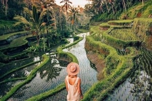 Ubud: terrazza di riso, cascata e grotta dell'elefante