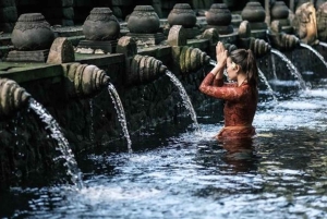 Ubud: terrazza di riso, cascata e grotta dell'elefante