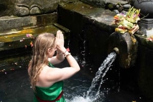 Ubud: terrazza di riso, cascata e grotta dell'elefante